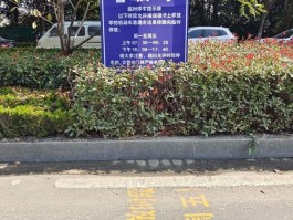 临时号牌车辆违停