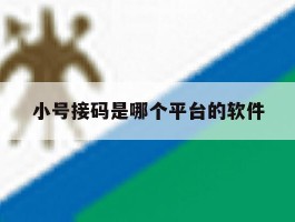 小号接码是哪个平台的软件