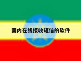 国内在线接收短信的软件
