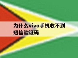 为什么vivo手机收不到短信验证码