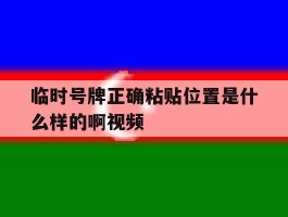 临时号牌正确粘贴位置是什么样的啊视频