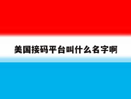 美国接码平台叫什么名字啊