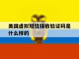 美国虚拟短信接收验证码是什么样的