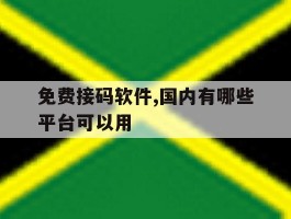 免费接码软件,国内有哪些平台可以用