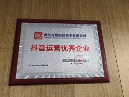 最火的代理平台排名前十