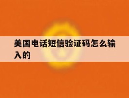 美国电话短信验证码怎么输入的