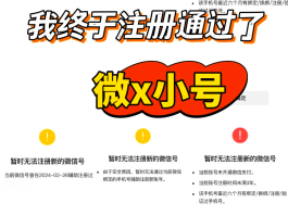 隐私小号这个软件怎么样设置的