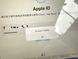 临时手机号app下载安装苹果官网安装不了