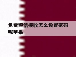 免费短信接收怎么设置密码呢苹果