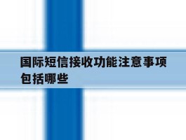 国际短信接收功能注意事项包括哪些