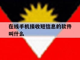 在线手机接收短信息的软件叫什么