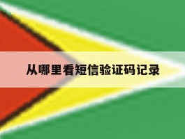 从哪里看短信验证码记录