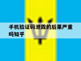 手机验证码泄露的后果严重吗知乎