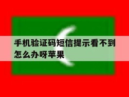 手机验证码短信提示看不到怎么办呀苹果