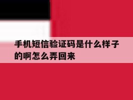手机短信验证码是什么样子的啊怎么弄回来