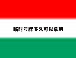 临时号牌多久可以拿到