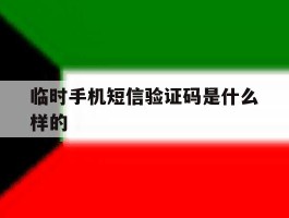 临时手机短信验证码是什么样的