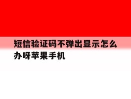 关于短信验证码不弹出显示怎么办呀苹果手机的信息