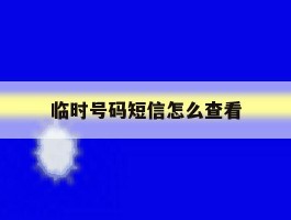 临时号码短信怎么查看