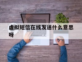 虚拟短信在线发送什么意思呀