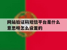 网站验证码短信平台是什么意思呀怎么设置的