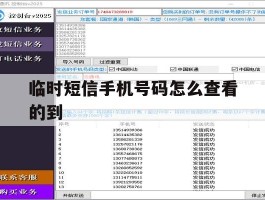 临时短信手机号码怎么查看的到