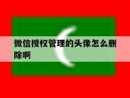 微信授权管理的头像怎么删除啊