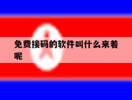 免费接码的软件叫什么来着呢
