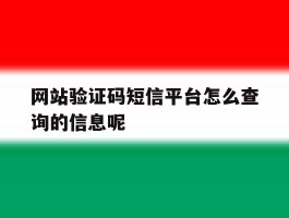 网站验证码短信平台怎么查询的信息呢的简单介绍