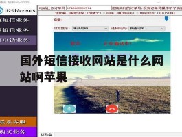 国外短信接收网站是什么网站啊苹果