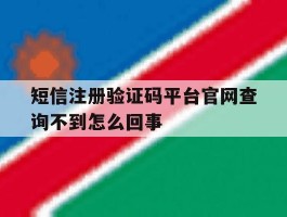 短信注册验证码平台官网查询不到怎么回事