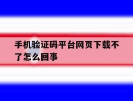 手机验证码平台网页下载不了怎么回事