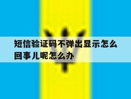 包含短信验证码不弹出显示怎么回事儿呢怎么办的词条