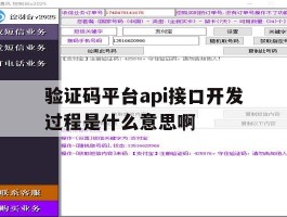 验证码平台api接口开发过程是什么意思啊的简单介绍