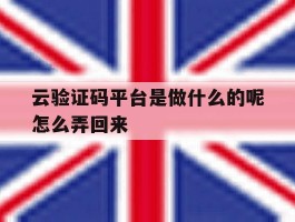 云验证码平台是做什么的呢怎么弄回来