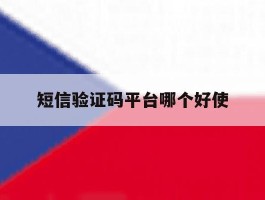 短信验证码平台哪个好使