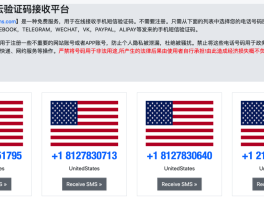 临时短信手机号码怎么发给别人看不到