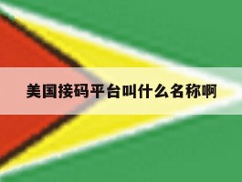 美国接码平台叫什么名称啊