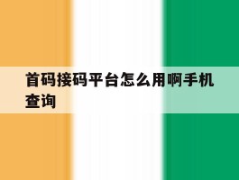 首码接码平台怎么用啊手机查询