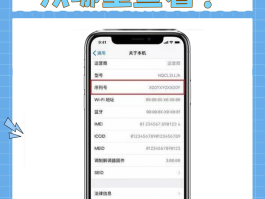 手机验证码指的是什么