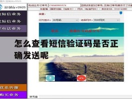怎么查看短信验证码是否正确发送呢