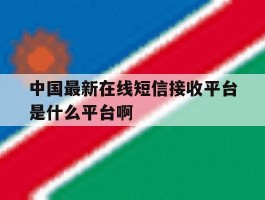 中国最新在线短信接收平台是什么平台啊