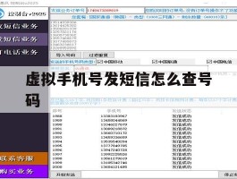 虚拟手机号发短信怎么查号码