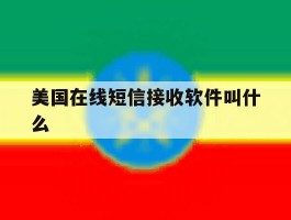 美国在线短信接收软件叫什么