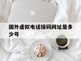 国外虚拟电话接码网址是多少号