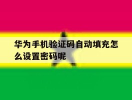 华为手机验证码自动填充怎么设置密码呢
