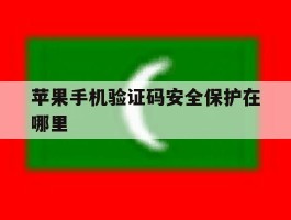 苹果手机验证码安全保护在哪里
