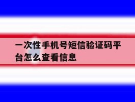一次性手机号短信验证码平台怎么查看信息