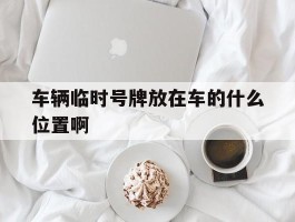 车辆临时号牌放在车的什么位置啊