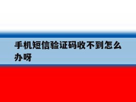 手机短信验证码收不到怎么办呀